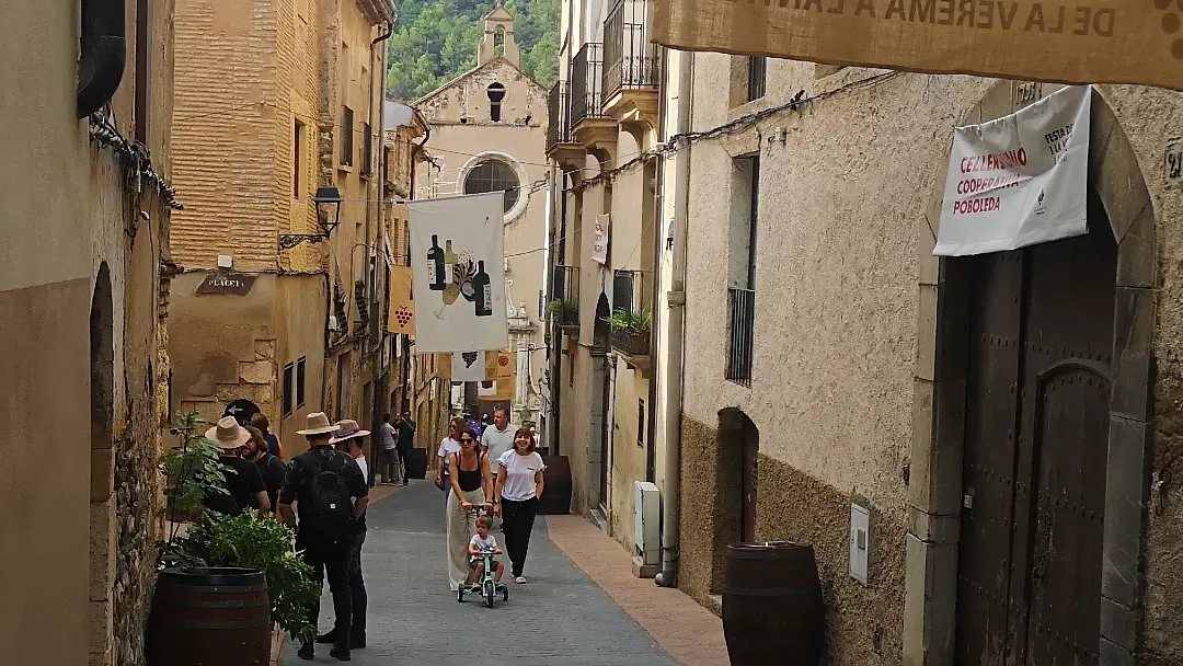 Fiesta del vino y la vendimia de Poboleda: La vendimia como antes 1 Poboleda