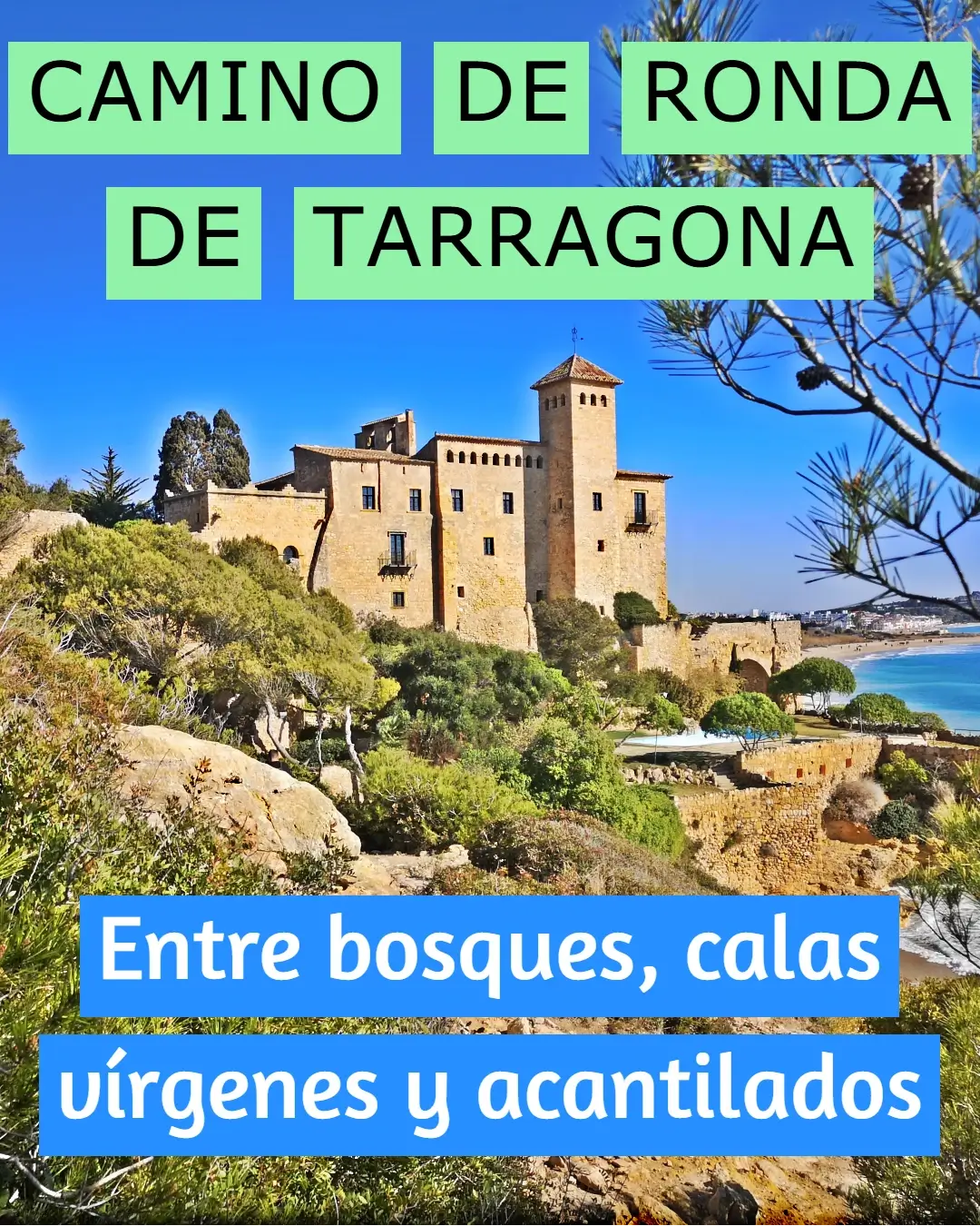 Camino de Ronda de Tarragona: Entre bosques, calas vírgenes y acantilados 1 castillo Tamarit