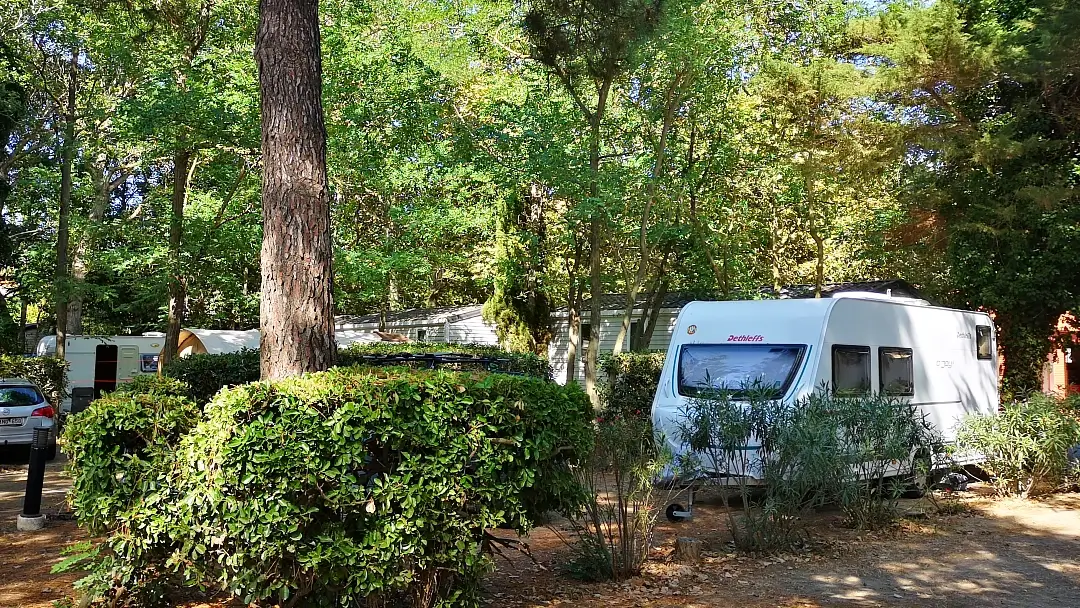 Gala 2024 los mejores campings de España 3 Camping La Pergola Sainte-Marie la Mer