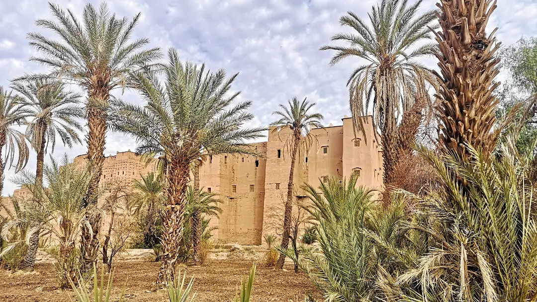 Ruta del desierto por libre: de Merzouga a Marrakech por el Valle del Draa 16 Ksar de Tamnougalt