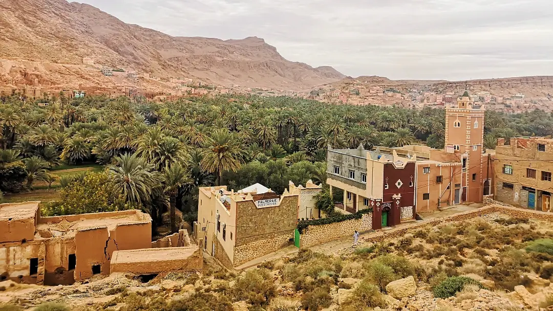🏁 Ruta del desierto por libre: Diario de Viaje Marrakech - Merzouga - Marrakech (5 días) 7 Palmeral de Tinghir