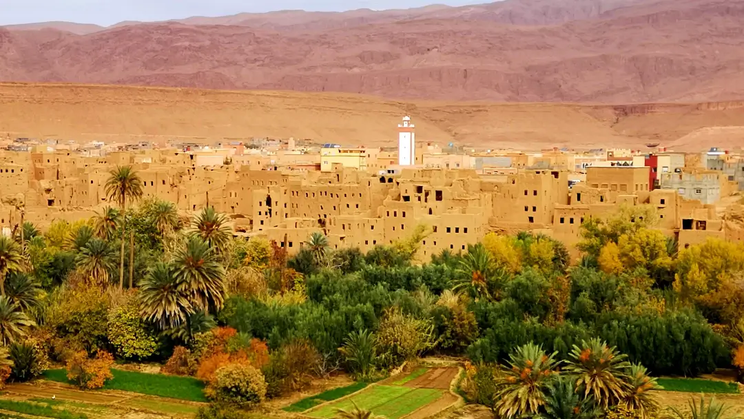 Ruta del desierto por libre: de Marrakech a Merzouga 13 ksar de Tinghir