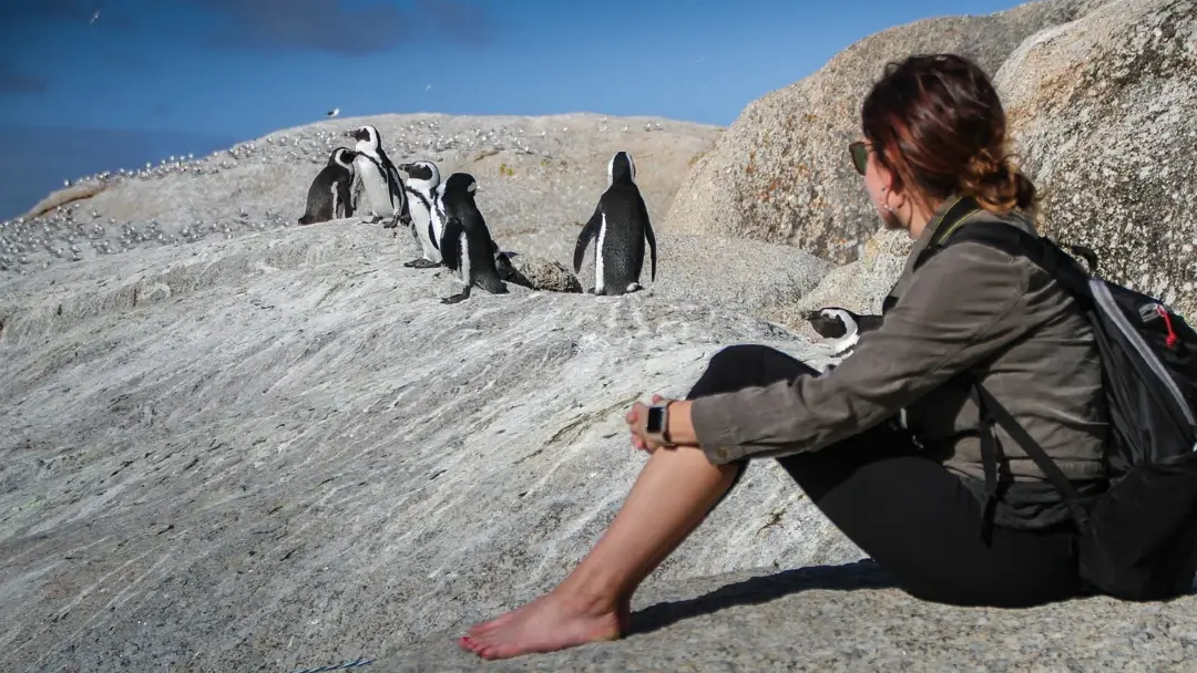 Diferencias entre ser viajero y ser turista ¿y tu de quién eres? 7 pinguins