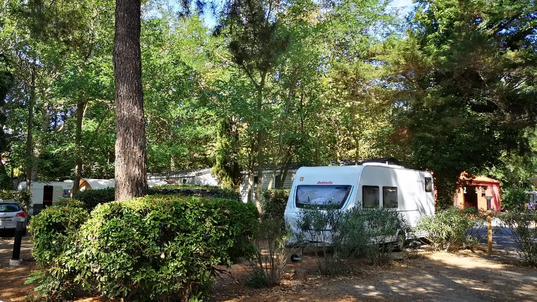 Que ver en Perpiñán, la capital francesa del Reino de Mallorca 16 Camping La pergola