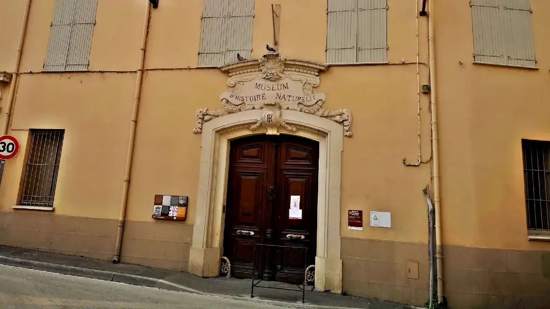 Que ver en Perpiñán, la capital francesa del Reino de Mallorca 9 Perpignan 20200822 120733