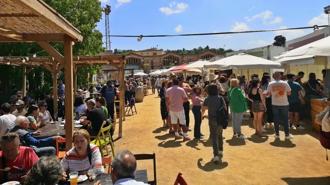 Feria del Vino de Falset: Como Baco por su casa 5 Fira Vi Falset