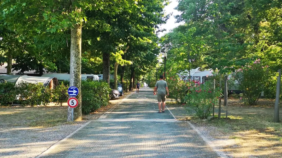 Passignano sul Trasimeno (Umbría, Italia) | Camping Trasimeno: verde, acogedor y con lago 4 Camping Trasimeno