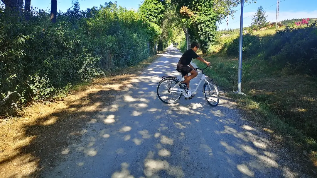 Passignano sul Trasimeno (Umbría, Italia) | Camping Trasimeno: verde, acogedor y con lago 3 Camping Trasimeno