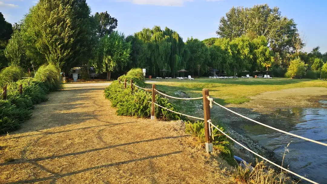 Passignano sul Trasimeno (Umbría, Italia) | Camping Trasimeno: verde, acogedor y con lago 8 Camping Trasimeno