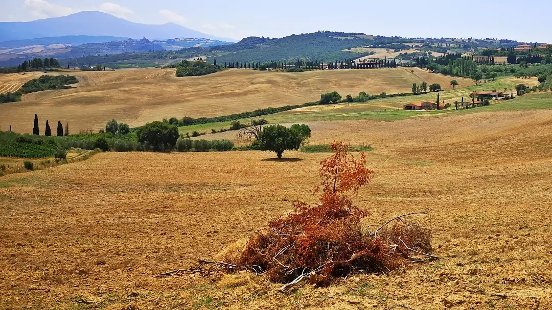El célebre paisaje de Gladiator en el Val d'Orcia: Un paseo cinematográfico por la belleza toscana 18 Toscana Val d'Orcia Podere Belvedere