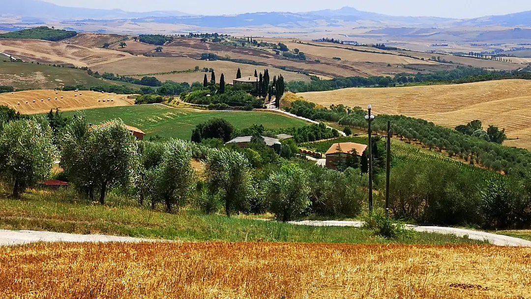 El célebre paisaje de Gladiator en el Val d'Orcia: Un paseo cinematográfico por la belleza toscana 17 Toscana Val d'Orcia Podere Belvedere