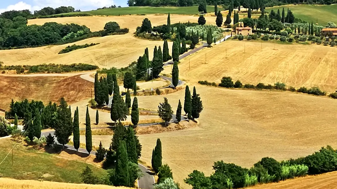 El célebre paisaje de Gladiator en el Val d'Orcia: Un paseo cinematográfico por la belleza toscana 6 Toscana Val d'Orcia Monticchiello SP88 carretera