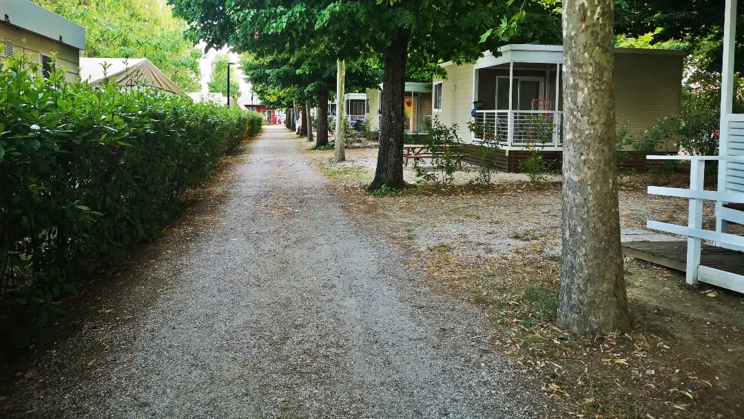 Passignano sul Trasimeno (Umbría, Italia) | Camping Trasimeno: verde, acogedor y con lago 7 Camping Trasimeno Mobil Homes