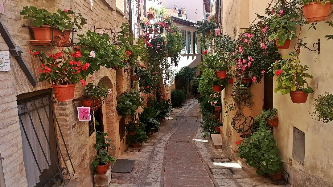 Ruta por 7 de los pueblos más bonitos de Umbría, Italia 9 Spello