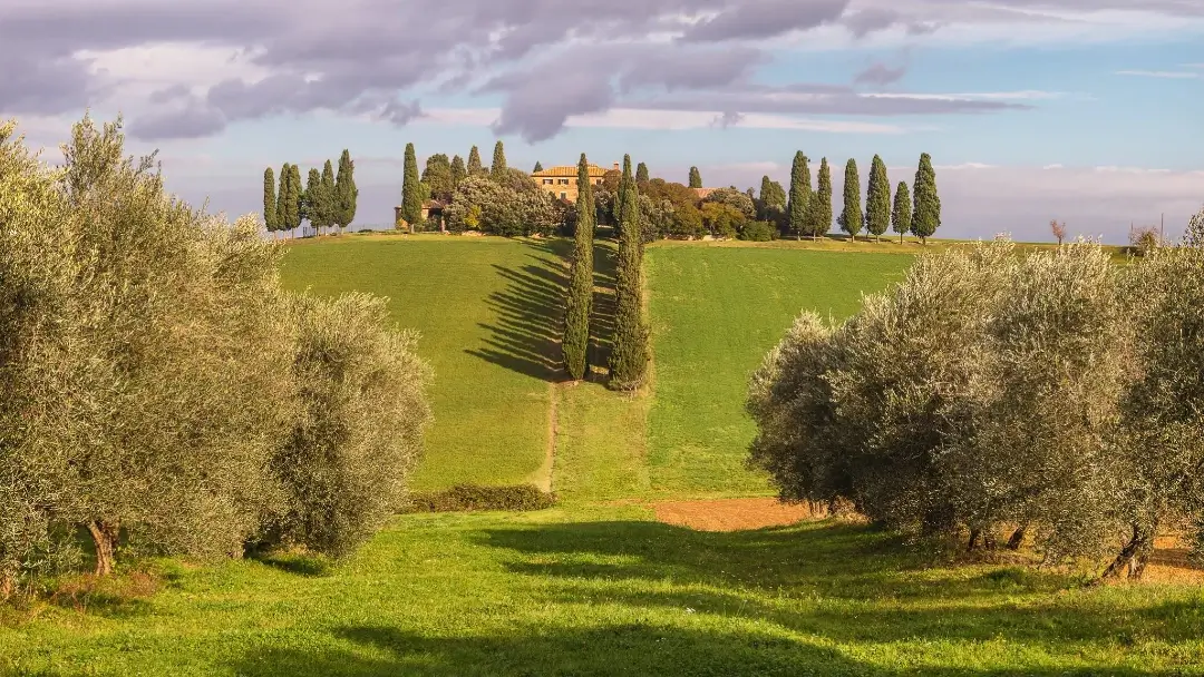 El célebre paisaje de Gladiator en el Val d'Orcia: Un paseo cinematográfico por la belleza toscana 20 Toscana Val d'Orcia Gladiator