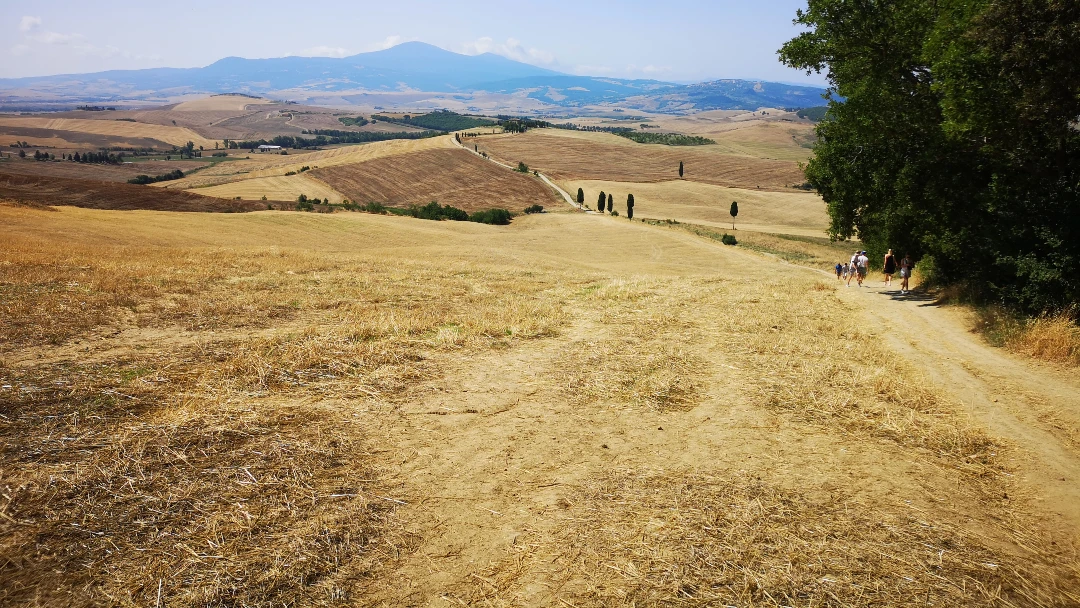 El célebre paisaje de Gladiator en el Val d'Orcia: Un paseo cinematográfico por la belleza toscana 14 Toscana Val d'Orcia Gladiator