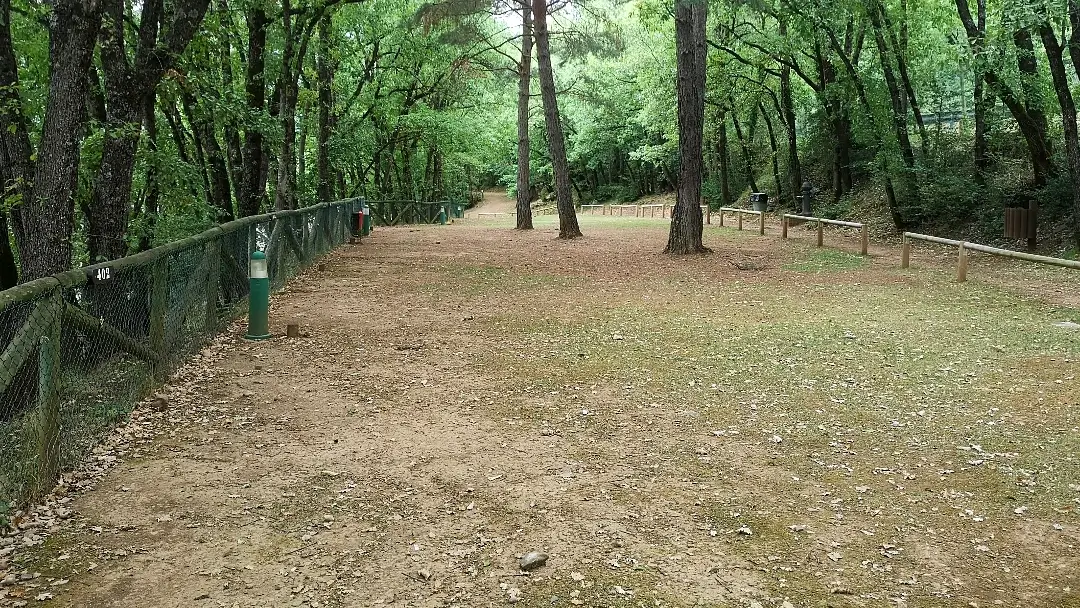 Biescas (Huesca) | Camping Gavín: un referente de los Pirineos Aragoneses 6 camping Gavín