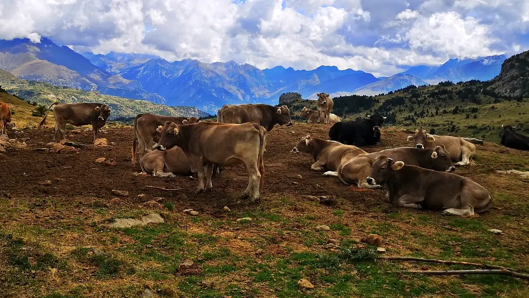 Pirineos: 6 días descubriendo el maravilloso Valle de Tena 19 Valle del tena