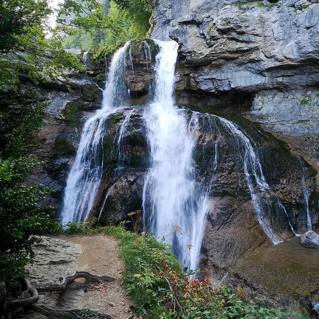 Parque Nacional de Ordesa y Monte Perdido: espectacular ruta a la Cola de Caballo 12 Cascada del Estrecho