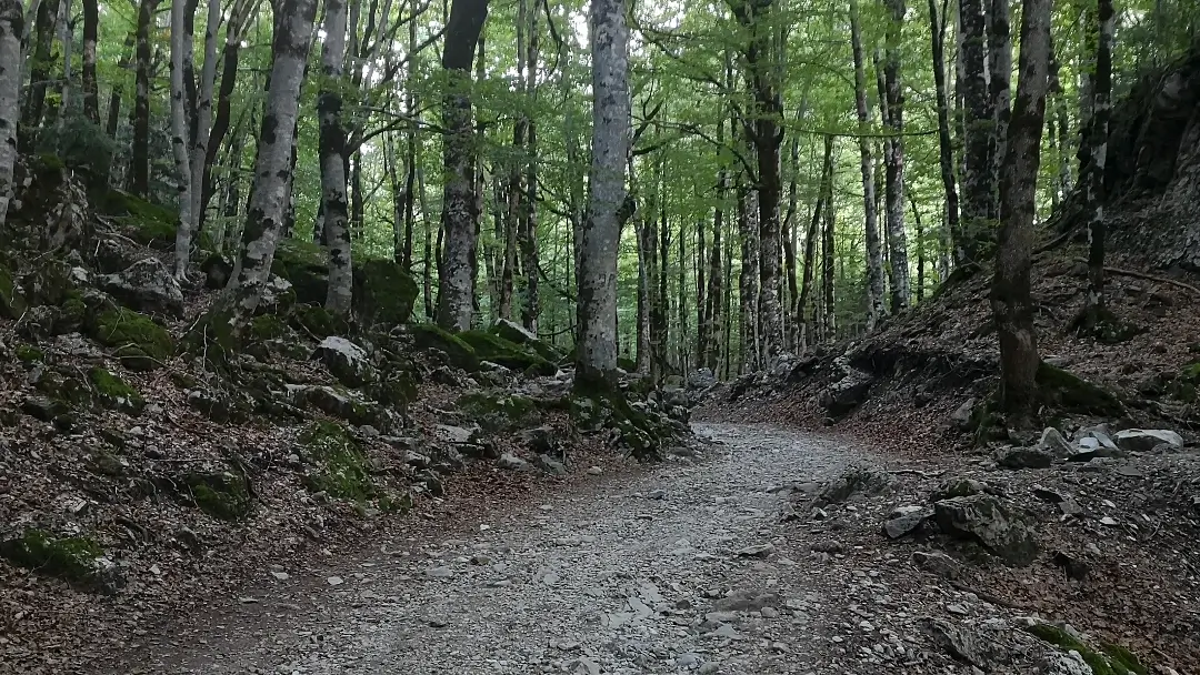 Parque Nacional de Ordesa y Monte Perdido: espectacular ruta a la Cola de Caballo 13 Camino Cola de Caballo