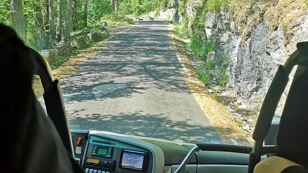 Parque Nacional de Ordesa y Monte Perdido: espectacular ruta a la Cola de Caballo 6 Bus Pradera de Ordesa - Torla