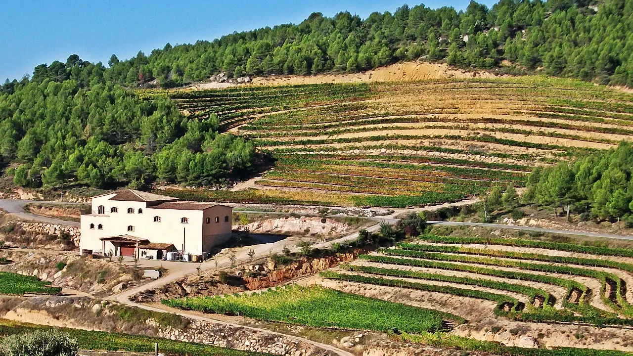 Celler Joan Ametller La Morera de Montsant Priorat