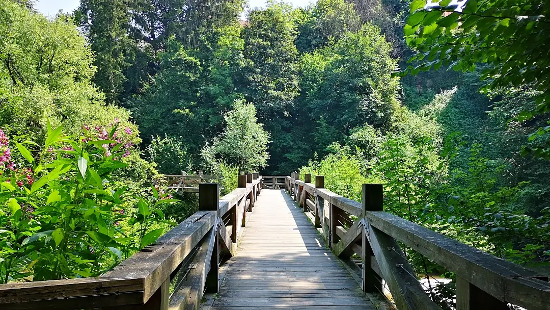 Un paseo por Kranj, la capital de los Alpes eslovenos 17 Cañón del Río Kokra en Kranj