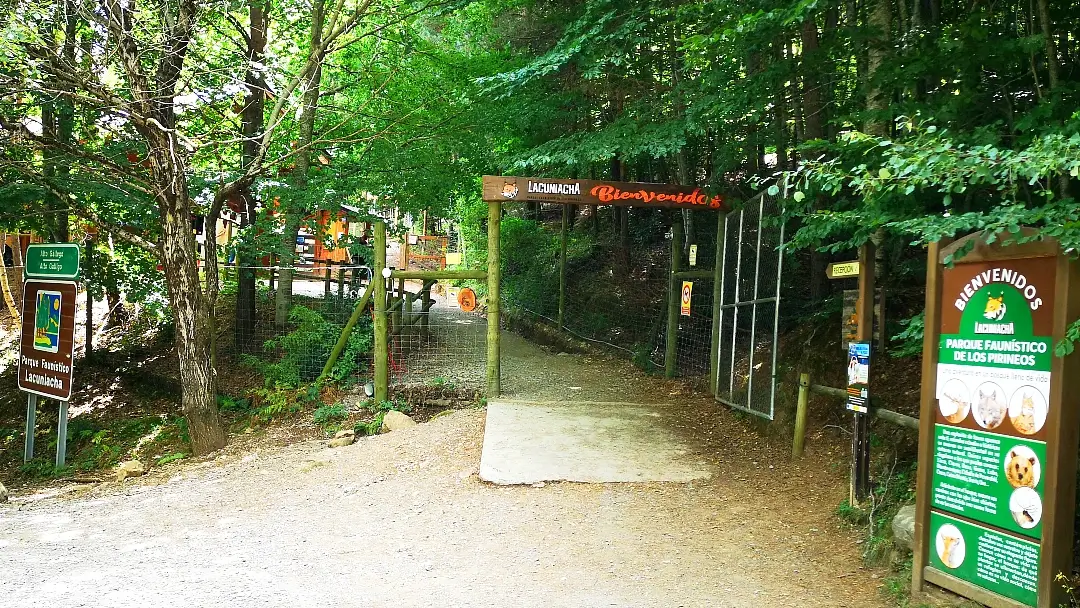 Pirineos: 6 días descubriendo el maravilloso Valle de Tena 20 Parque Faunístico Lacuniacha Piedrafita de Jaca