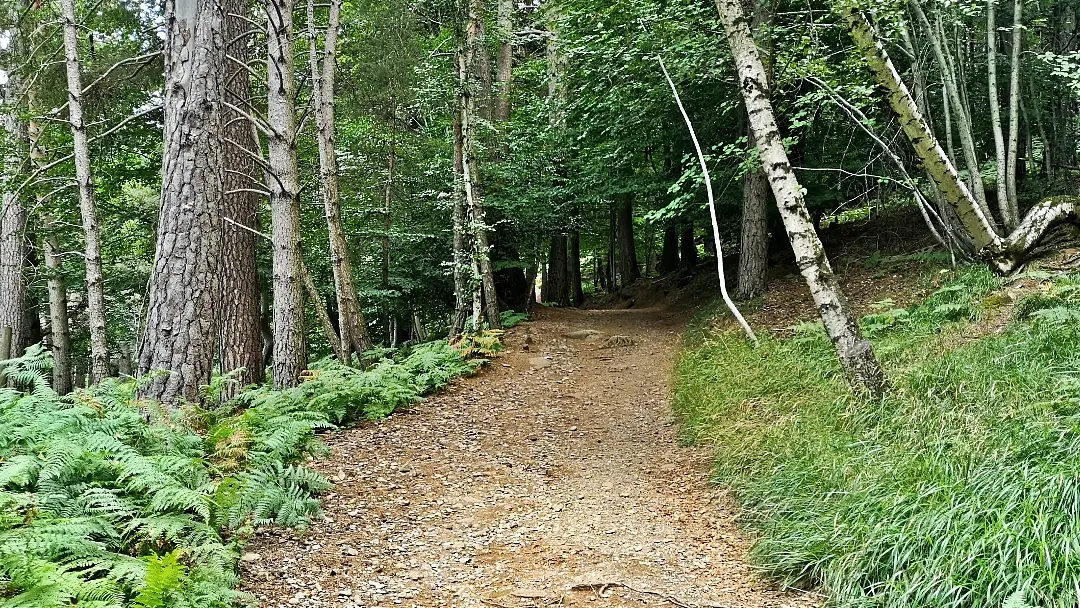 Pirineos: 6 días descubriendo el maravilloso Valle de Tena 22 Parque Faunístico Lacuniacha