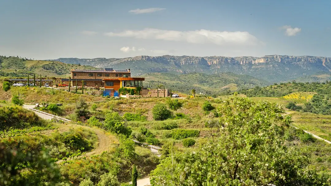 Enoturismo en el Priorat: las 7 mejores Catas y paseos entre viñas 9 Bodega Celler Atavus Priorat Gratallops