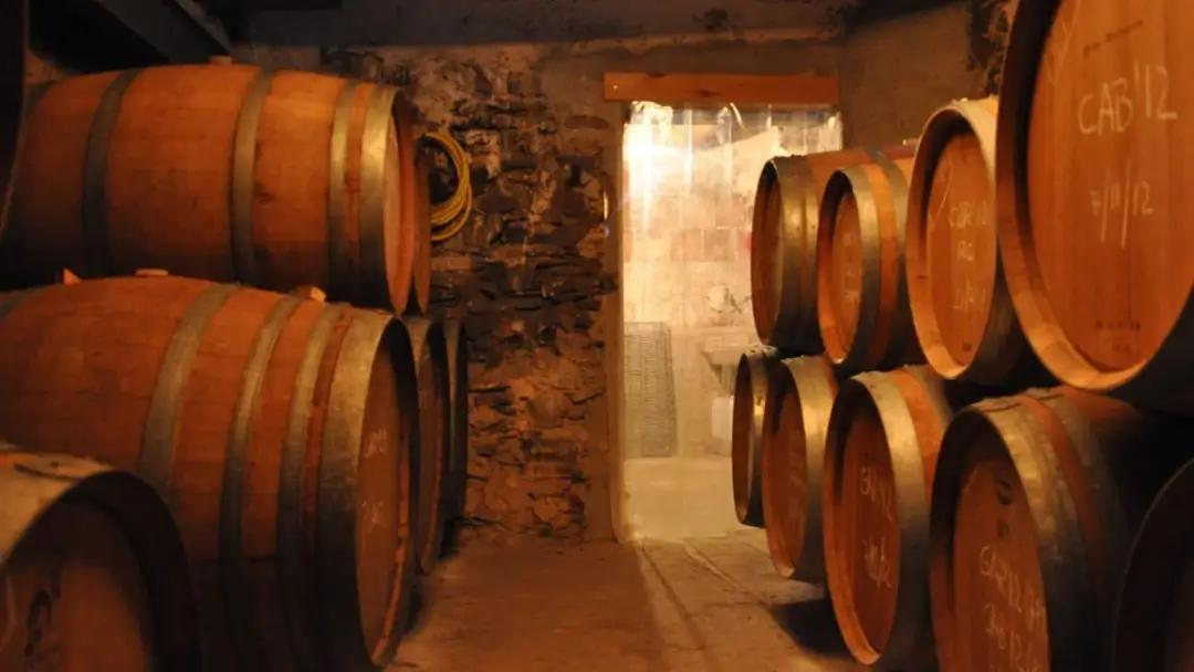 Enoturismo en el Priorat: las 7 mejores Catas y paseos entre viñas 8 Bodega Devinssi Gratallops