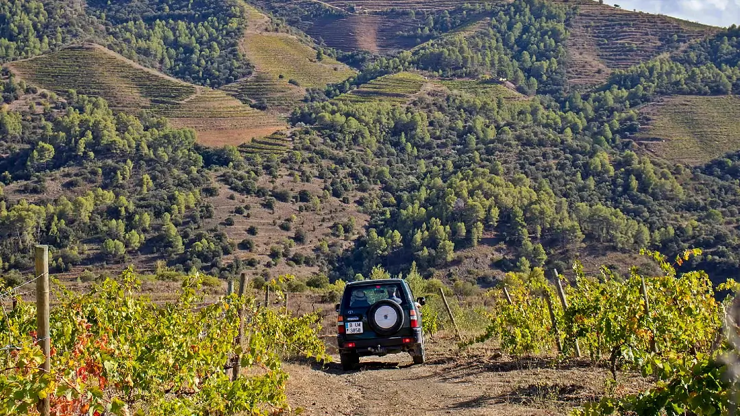 Enoturismo en el Priorat: las 7 mejores Catas y paseos entre viñas 16 bodega Gratavinum Gratallops