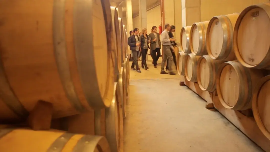 Enoturismo en el Priorat: las 7 mejores Catas y paseos entre viñas 13 Celler la Conreria d'Escaladei