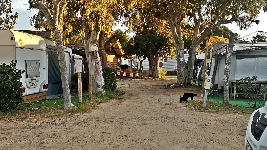 Barcelona | Camping 3 Estrellas Gavà - Barcelona: cerca de la Ciudad Condal y bien equipado 9 Camping 3 Estrellas Gavà - Barcelona