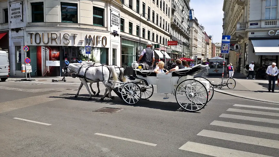 Que ver en Viena, la imperial y elegante capital de Austria 2 Viena