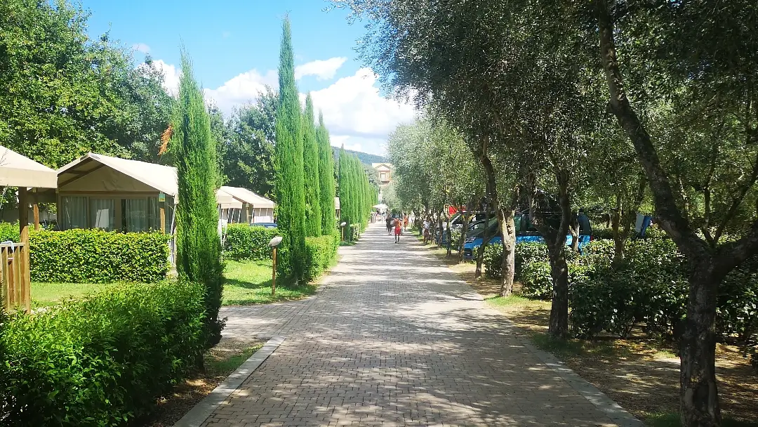 Florencia (Italia) | hu Firenze camping in town: bien comunicado y cerca del centro histórico 6 hu Firenze camping in town Florencia