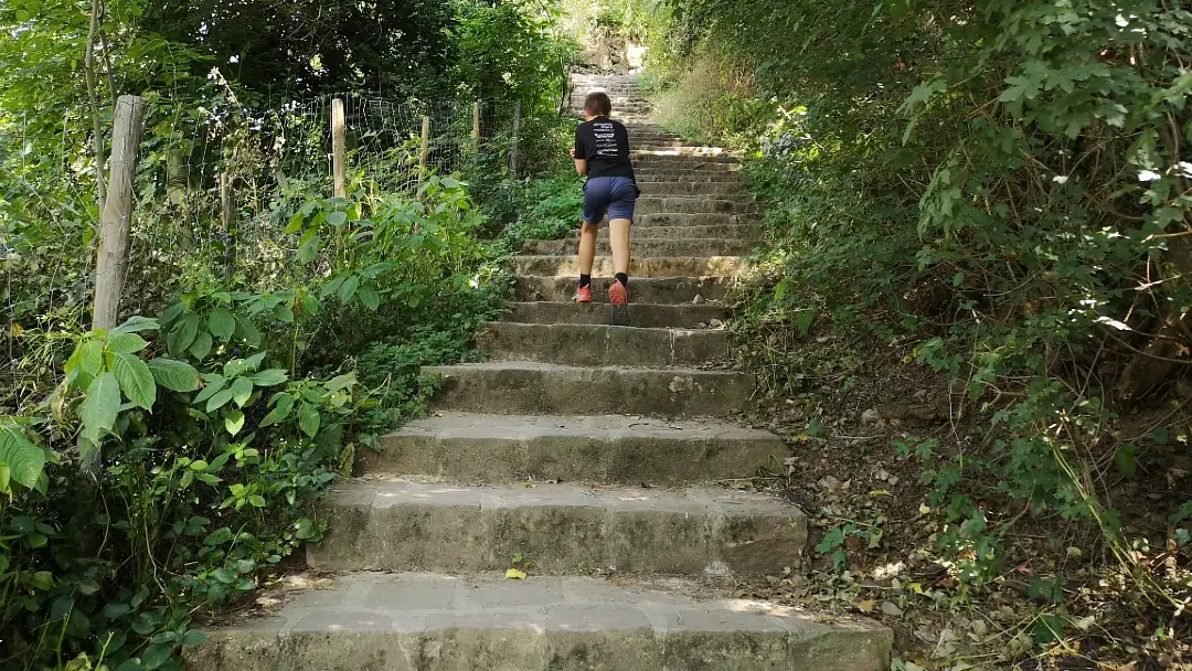 Que ver en Kaysersberg, la 'Montaña del Emperador' de Alsacia 15 Kaysersberg Alsacia