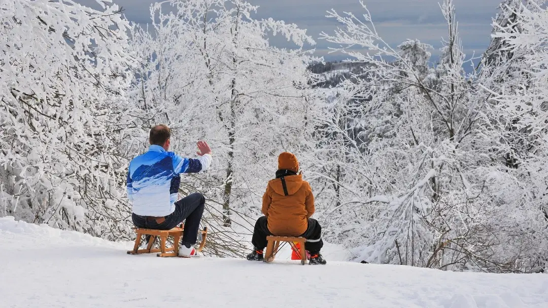 Cómo organizar una escapada a los Pirineos en temporada de nieve 5 trineos nieve