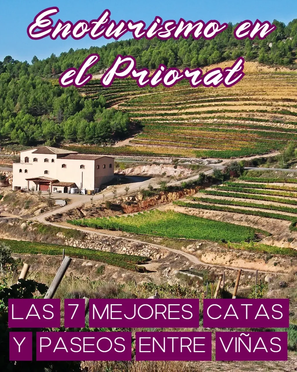 Enoturismo en el Priorat: las 7 mejores Catas y paseos entre viñas 1 priorat enoturismo